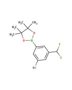Astatech 2-(3-BROMO-5-(DIFLUOROMETHYL)PHENYL)-4,4,5,5-TETRAMETHYL-1,3,2-DIOXABOROLANE; 1G; Purity 95%; MDL-MFCD34595862